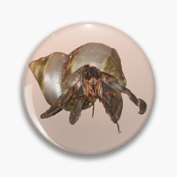 Item preview, Hermit Crab designed and sold by RainbowSpinkle.