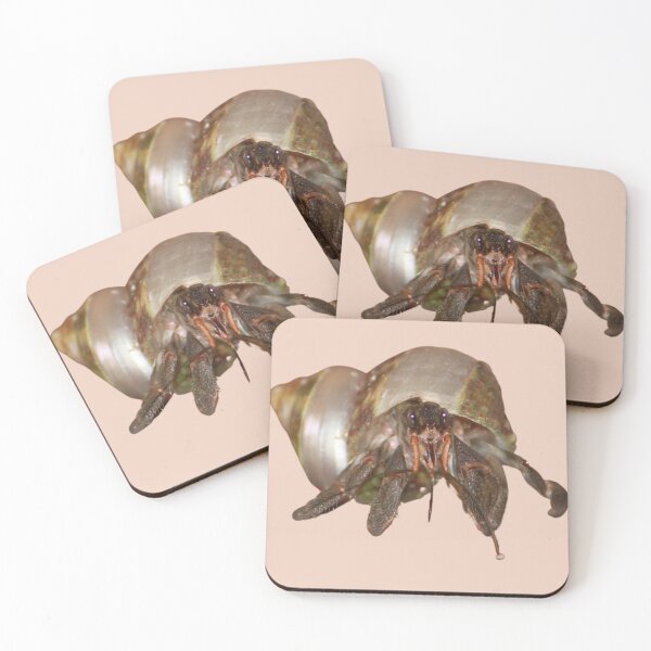Item preview, Hermit Crab designed and sold by RainbowSpinkle.