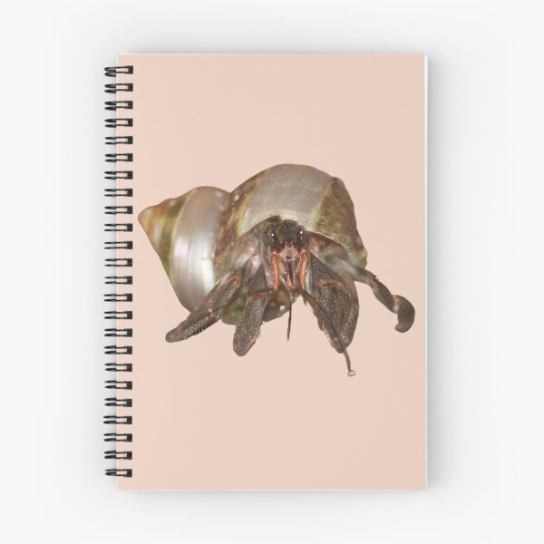Item preview, Hermit Crab designed and sold by RainbowSpinkle.