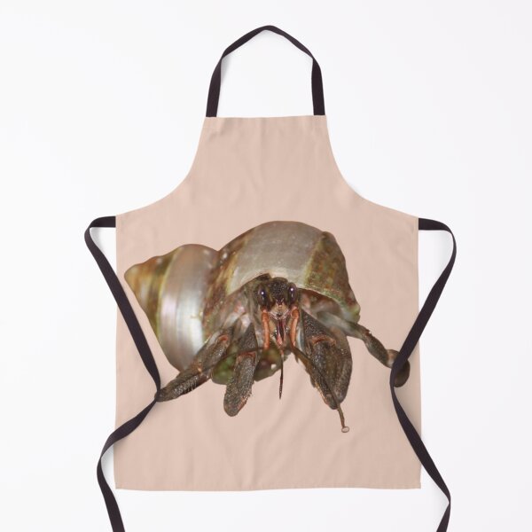 Item preview, Hermit Crab designed and sold by RainbowSpinkle.