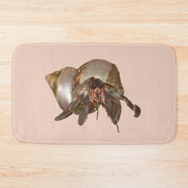 Item preview, Hermit Crab designed and sold by RainbowSpinkle.
