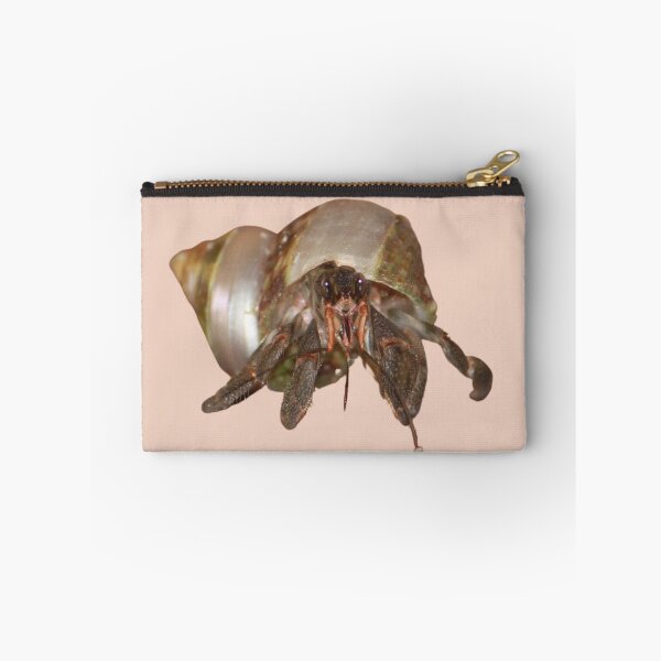 Item preview, Hermit Crab designed and sold by RainbowSpinkle.