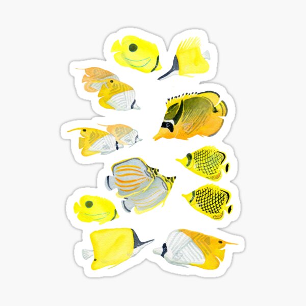 Butterflyfish of the tropical Pacific Sticker