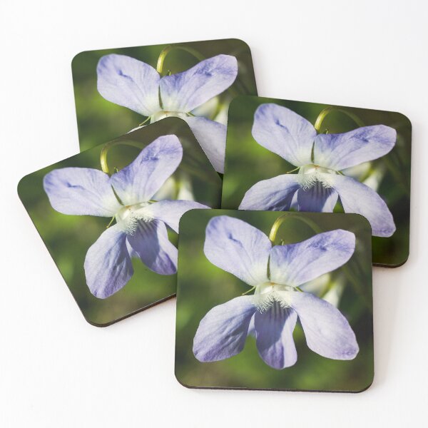 Item preview, Violet flower designed and sold by Milan Latta.