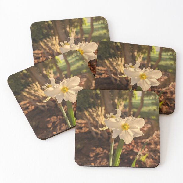 Item preview, White Daffodil  designed and sold by TheRealDanniX.