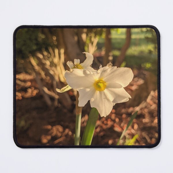 Item preview, White Daffodil  designed and sold by TheRealDanniX.