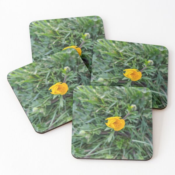 Item preview, Buttercup Near Bloom designed and sold by TheRealDanniX.