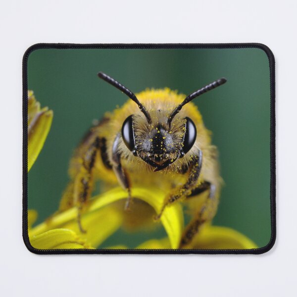 Item preview, bee-holden to you! :) designed and sold by ritusdesigns.