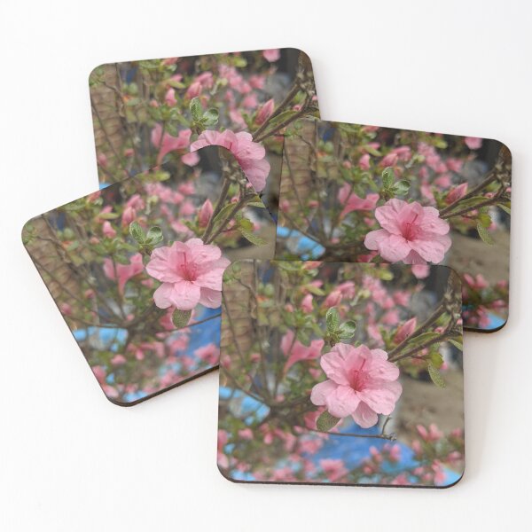 Item preview, Crepe Myrtle (2) designed and sold by TheRealDanniX.