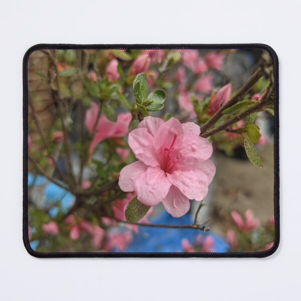 Item preview, Crepe Myrtle (2) designed and sold by TheRealDanniX.