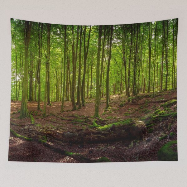 Item preview, Summer Forest Panorama designed and sold by Nicklas81.