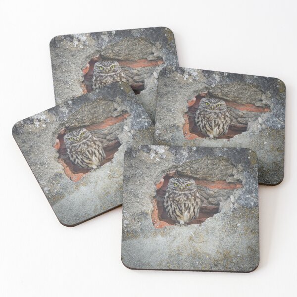 Item preview, Little owl house wall hole designed and sold by sgrphotography.