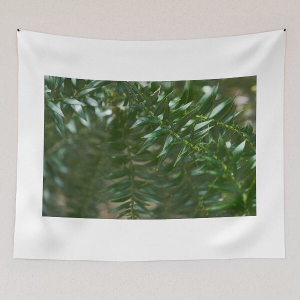 Item preview, pine tree dark green branch with sharp needle closeup designed and sold by Nupu.