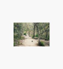 Bushwalking Art Board