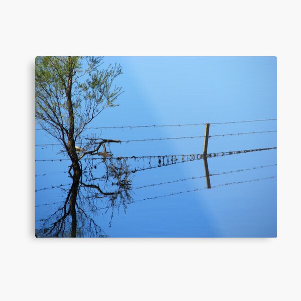 Fence Flow Metal Print