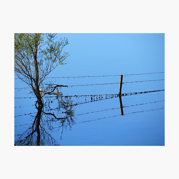 Fence Flow Photographic Print