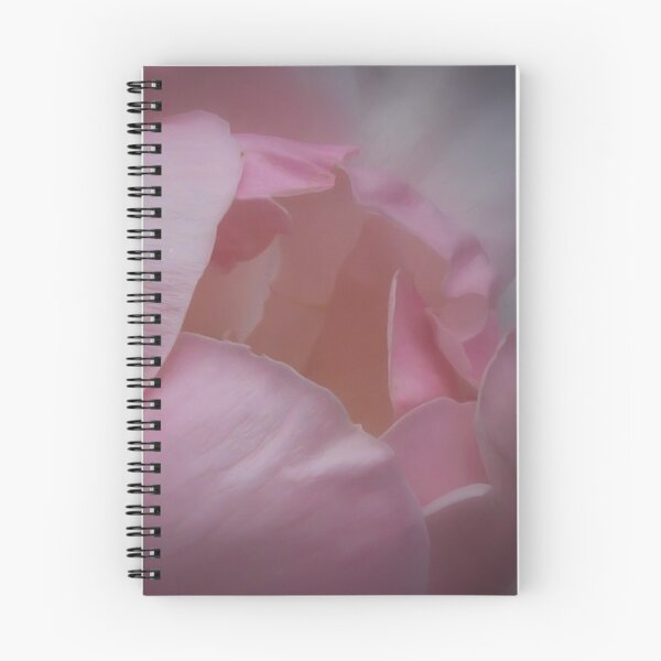 Item preview, Photo of Pink Rose designed and sold by BrashleyPhotos.