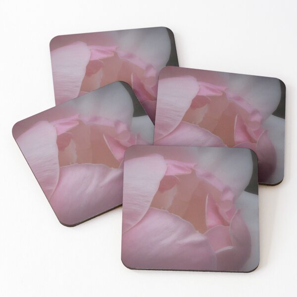 Item preview, Photo of Pink Rose designed and sold by BrashleyPhotos.