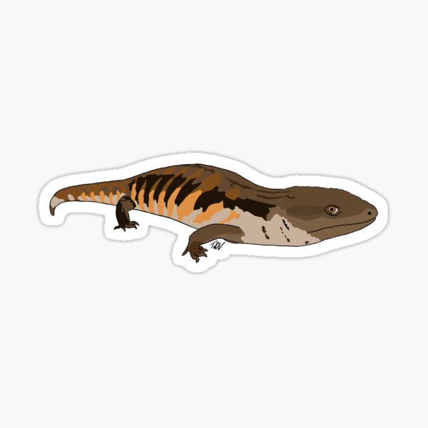 Item preview, Blue Tongue Skink designed and sold by Tiffilee.