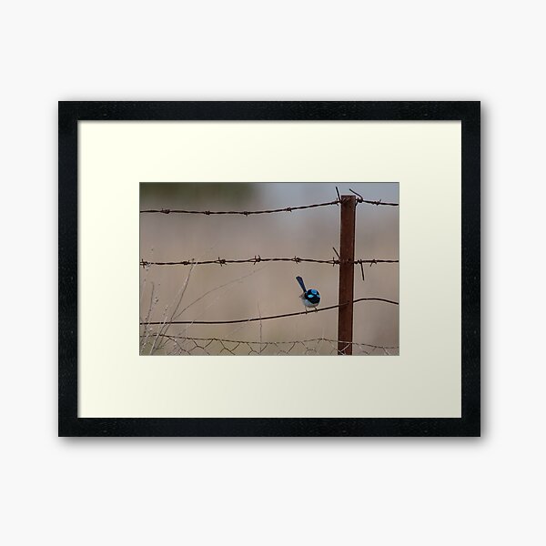 Bird on a Wire... Framed Art Print
