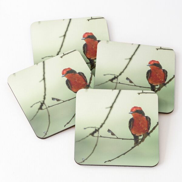 Item preview, Little Red Beauty - Vermilion Flycatcher designed and sold by Debra Martz.
