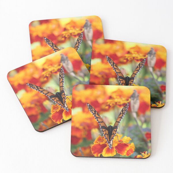 Item preview, Butterfly V Collection designed and sold by MkwCreator.