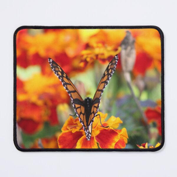 Item preview, Butterfly V Collection designed and sold by MkwCreator.