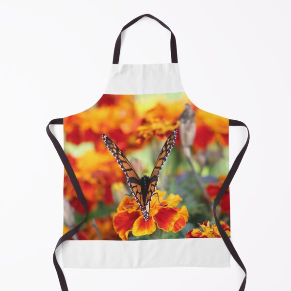 Item preview, Butterfly V Collection designed and sold by MkwCreator.