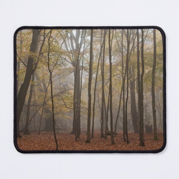 Item preview, Autumn Forest Scene designed and sold by AnitaLynne.