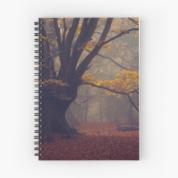 Item preview, Beech Tree in Autumn designed and sold by AnitaLynne.
