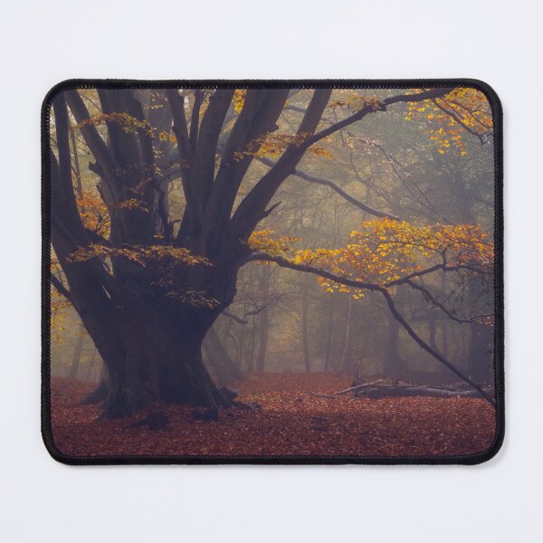 Item preview, Beech Tree in Autumn designed and sold by AnitaLynne.