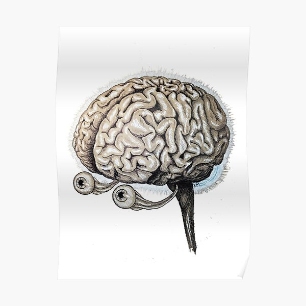 "Seeing is Believing | Brain Anatomy Drawing" Poster for Sale by ...