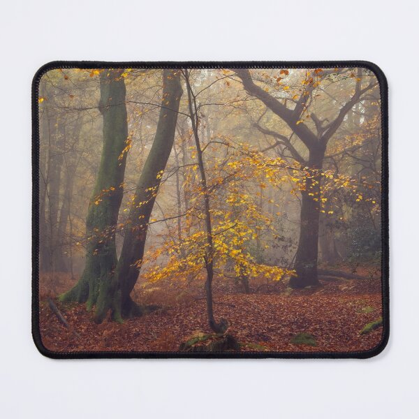 Item preview, A Golden Autumn Woodland Scene designed and sold by AnitaLynne.