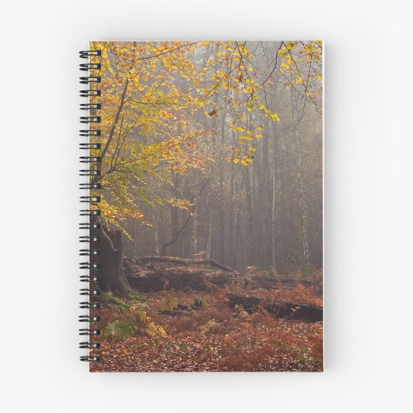 Item preview, A Misty Autumn Forest Scene designed and sold by AnitaLynne.