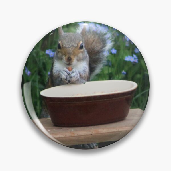 Item preview, Squirrel eating a nut designed and sold by PixelPoppies.