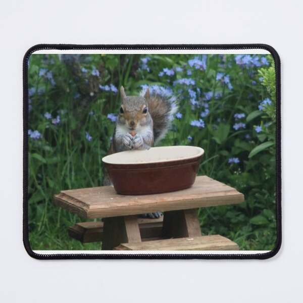 Item preview, Squirrel eating a nut designed and sold by PixelPoppies.