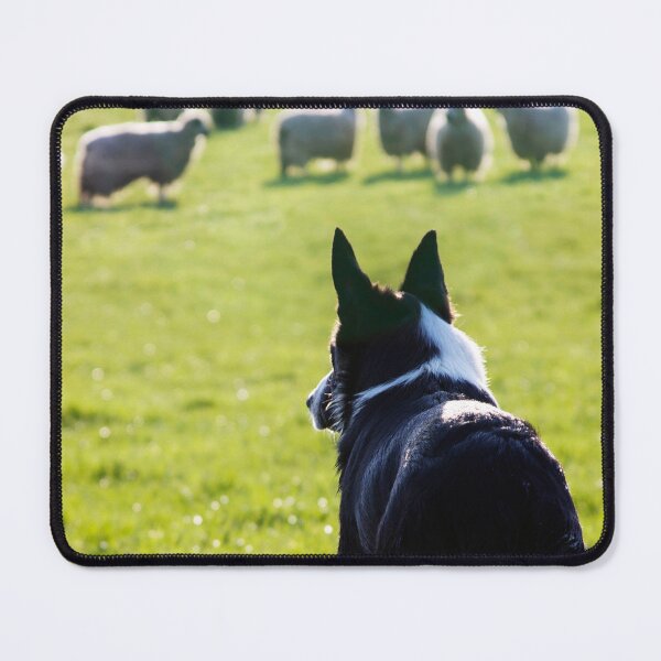 Item preview, Working Collie designed and sold by ernest123.