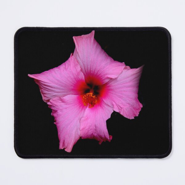 Item preview, Blossoming pink flower designed and sold by PixelPoppies.