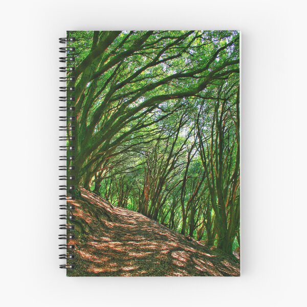 Item preview, Wooded pathway designed and sold by Jellycandy.