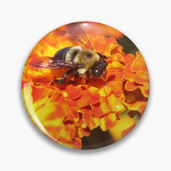 Item preview, That Bee designed and sold by MkwCreator.