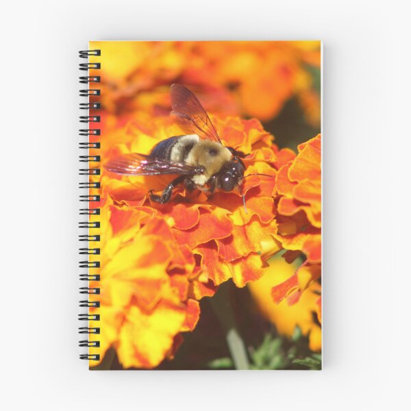 Item preview, That Bee designed and sold by MkwCreator.