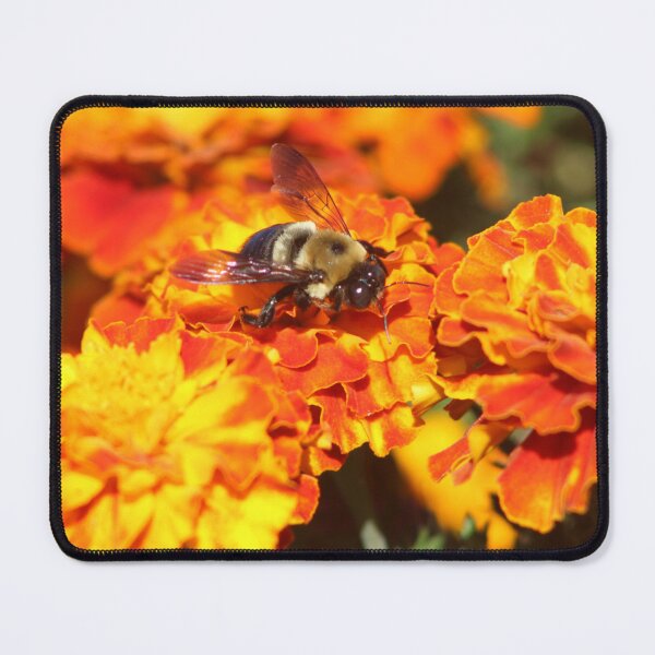 Item preview, That Bee designed and sold by MkwCreator.