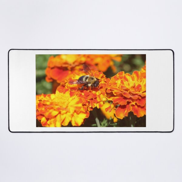 Item preview, That Bee designed and sold by MkwCreator.