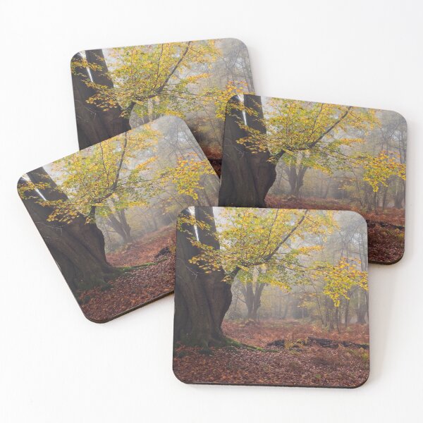 Item preview, Autumn Beech Tree in Woodland Scene designed and sold by AnitaLynne.