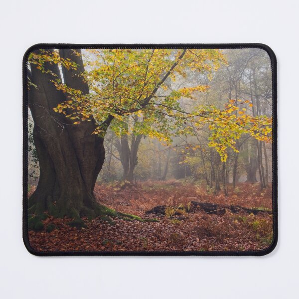 Item preview, Autumn Beech Tree in Woodland Scene designed and sold by AnitaLynne.