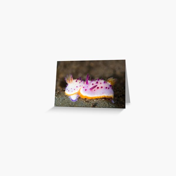 Slug lovin' Greeting Card