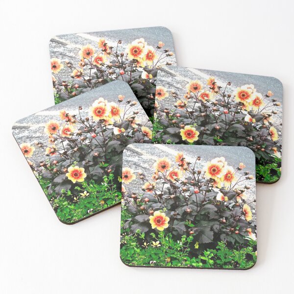 Item preview, Lovely daisies designed and sold by Shulie1.