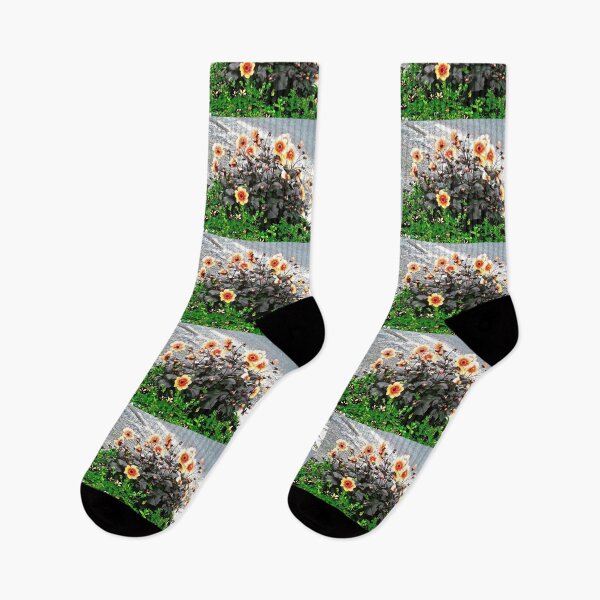 Item preview, Lovely daisies designed and sold by Shulie1.