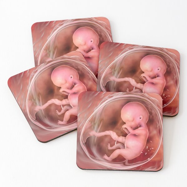 Item preview, Human fetus designed and sold by Kateryna Kon.
