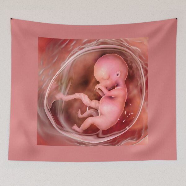 Item preview, Human fetus designed and sold by Kateryna Kon.